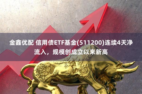 金鑫优配 信用债ETF基金(511200)连续4天净流入，规模创成立以来新高
