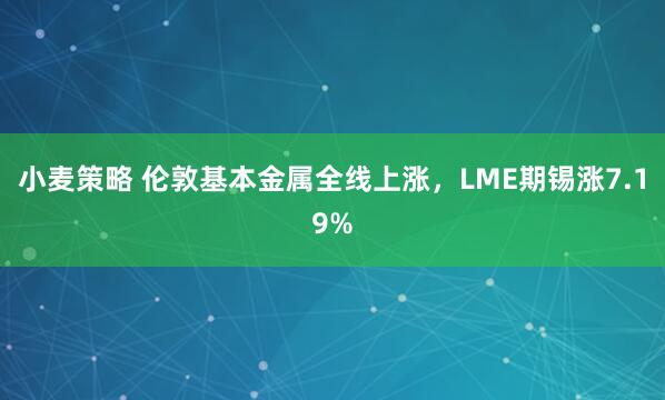 小麦策略 伦敦基本金属全线上涨，LME期锡涨7.19%