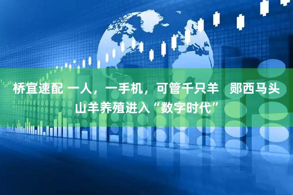 桥宜速配 一人，一手机，可管千只羊   郧西马头山羊养殖进入“数字时代”