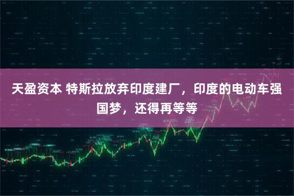天盈资本 特斯拉放弃印度建厂，印度的电动车强国梦，还得再等等